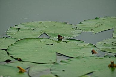 因更换虚幻5引擎 《浩劫前夕》跳票到2023年发售